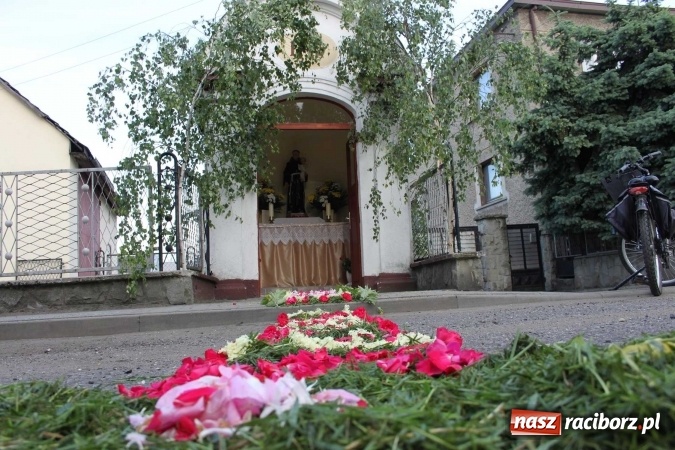 Zdjęcie w galerii na portalu naszraciborz.pl: Kwietne dywany w Wojnowicach  wiadomości z regionu