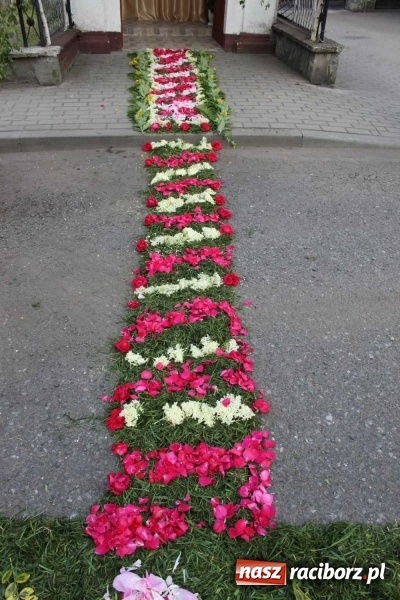 Zdjęcie w galerii na portalu naszraciborz.pl: Kwietne dywany w Wojnowicach  wiadomości z regionu