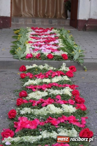Zdjęcie w galerii na portalu naszraciborz.pl: Kwietne dywany w Wojnowicach  wiadomości z regionu