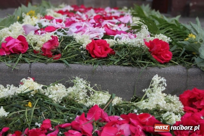 Zdjęcie w galerii na portalu naszraciborz.pl: Kwietne dywany w Wojnowicach  wiadomości z regionu