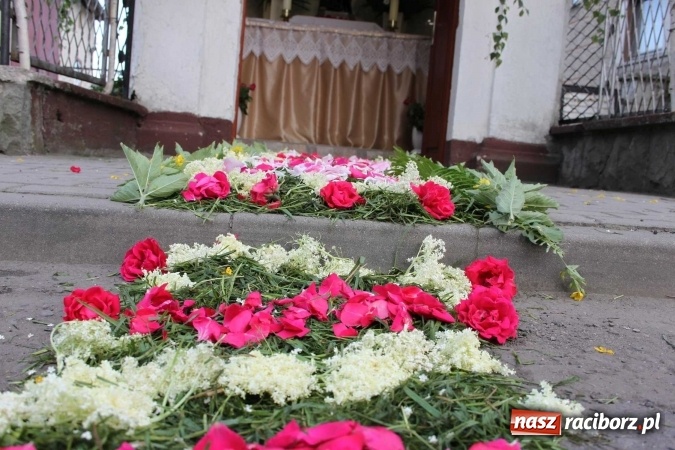 Zdjęcie w galerii na portalu naszraciborz.pl: Kwietne dywany w Wojnowicach  wiadomości z regionu