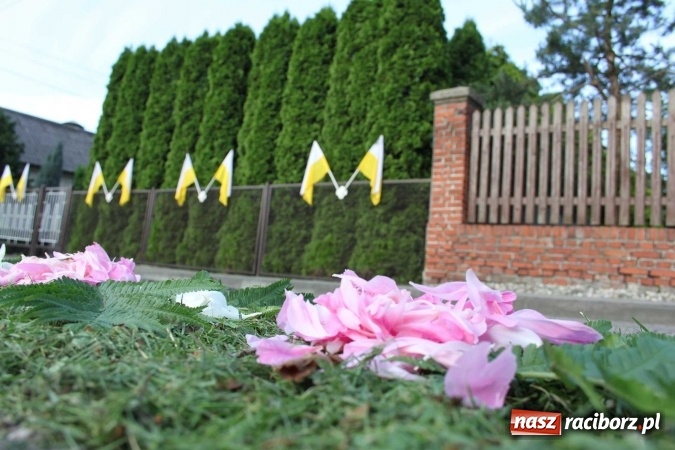 Zdjęcie w galerii na portalu naszraciborz.pl: Kwietne dywany w Wojnowicach  wiadomości z regionu