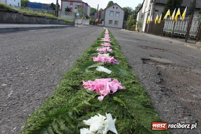 Zdjęcie w galerii na portalu naszraciborz.pl: Kwietne dywany w Wojnowicach  wiadomości z regionu