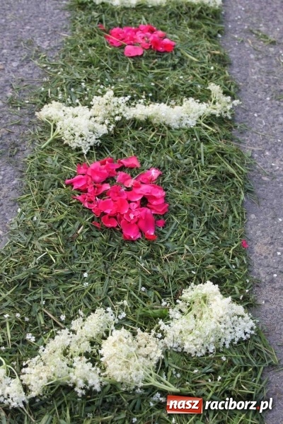 Zdjęcie w galerii na portalu naszraciborz.pl: Kwietne dywany w Wojnowicach  wiadomości z regionu