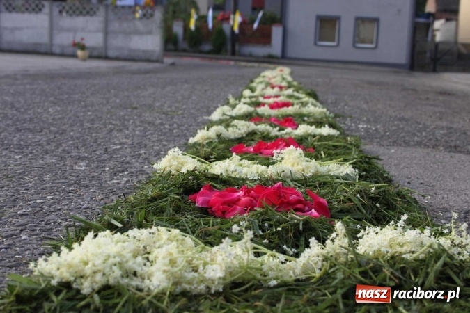 Zdjęcie w galerii na portalu naszraciborz.pl: Kwietne dywany w Wojnowicach  wiadomości z regionu