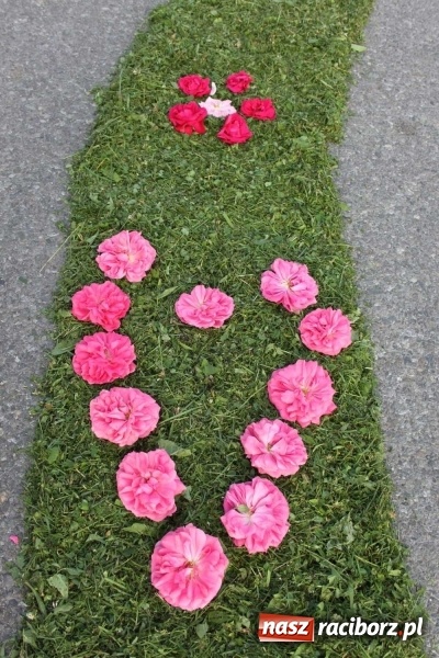 Zdjęcie w galerii na portalu naszraciborz.pl: Kwietne dywany w Wojnowicach  wiadomości z regionu