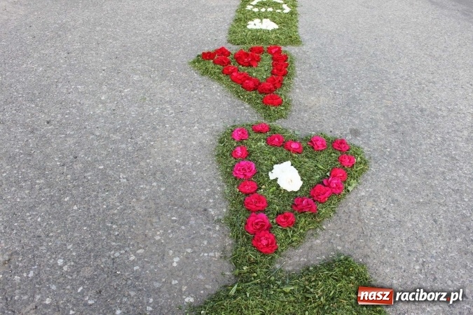 Zdjęcie w galerii na portalu naszraciborz.pl: Kwietne dywany w Wojnowicach  wiadomości z regionu