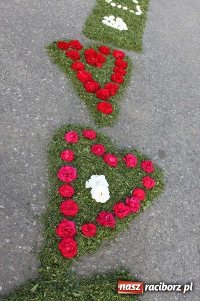 Zdjęcie w galerii na portalu naszraciborz.pl: Kwietne dywany w Wojnowicach  wiadomości z regionu
