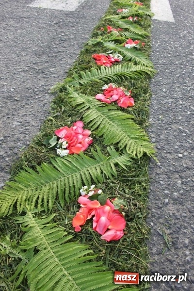 Zdjęcie w galerii na portalu naszraciborz.pl: Kwietne dywany w Wojnowicach  wiadomości z regionu