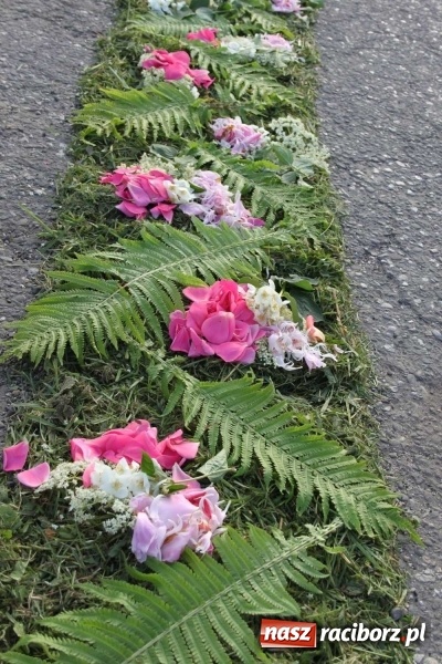 Zdjęcie w galerii na portalu naszraciborz.pl: Kwietne dywany w Wojnowicach  wiadomości z regionu