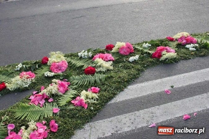 Zdjęcie w galerii na portalu naszraciborz.pl: Kwietne dywany w Wojnowicach  wiadomości z regionu