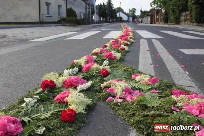 Zdjęcie w galerii na portalu naszraciborz.pl: Kwietne dywany w Wojnowicach  wiadomości z regionu