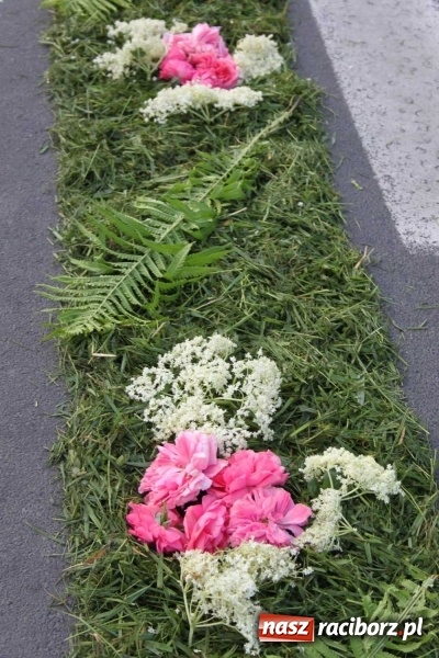 Zdjęcie w galerii na portalu naszraciborz.pl: Kwietne dywany w Wojnowicach  wiadomości z regionu