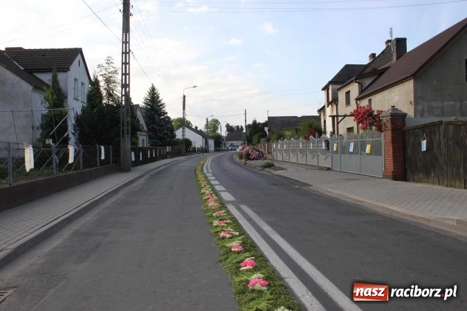 Zdjęcie w galerii na portalu naszraciborz.pl: Kwietne dywany w Wojnowicach  wiadomości z regionu