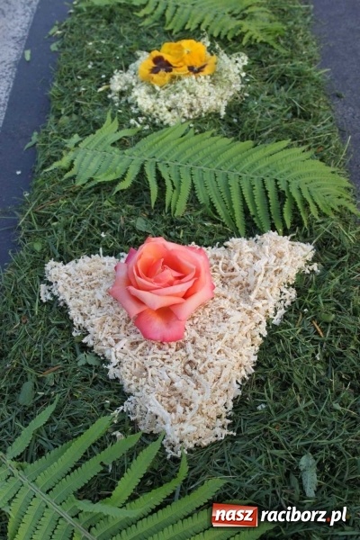 Zdjęcie w galerii na portalu naszraciborz.pl: Kwietne dywany w Wojnowicach  wiadomości z regionu