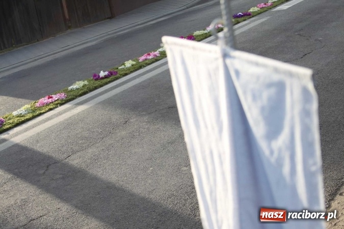 Zdjęcie w galerii na portalu naszraciborz.pl: Kwietne dywany w Wojnowicach  wiadomości z regionu