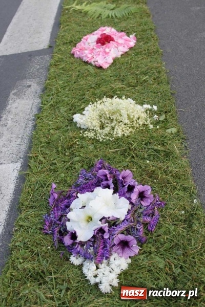 Zdjęcie w galerii na portalu naszraciborz.pl: Kwietne dywany w Wojnowicach  wiadomości z regionu