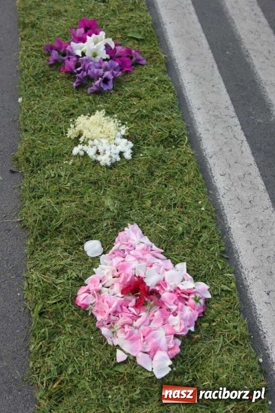 Zdjęcie w galerii na portalu naszraciborz.pl: Kwietne dywany w Wojnowicach  wiadomości z regionu