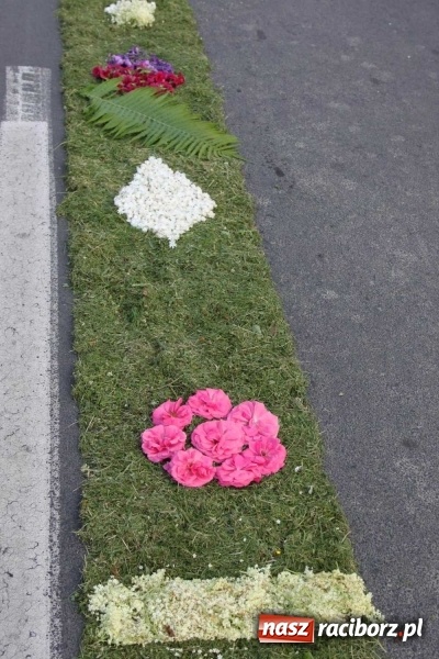 Zdjęcie w galerii na portalu naszraciborz.pl: Kwietne dywany w Wojnowicach  wiadomości z regionu