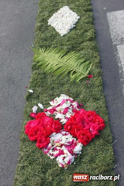 Zdjęcie w galerii na portalu naszraciborz.pl: Kwietne dywany w Wojnowicach  wiadomości z regionu