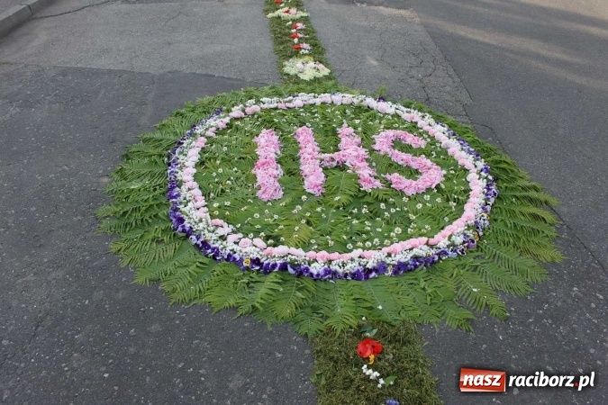 Zdjęcie w galerii na portalu naszraciborz.pl: Kwietne dywany w Wojnowicach  wiadomości z regionu