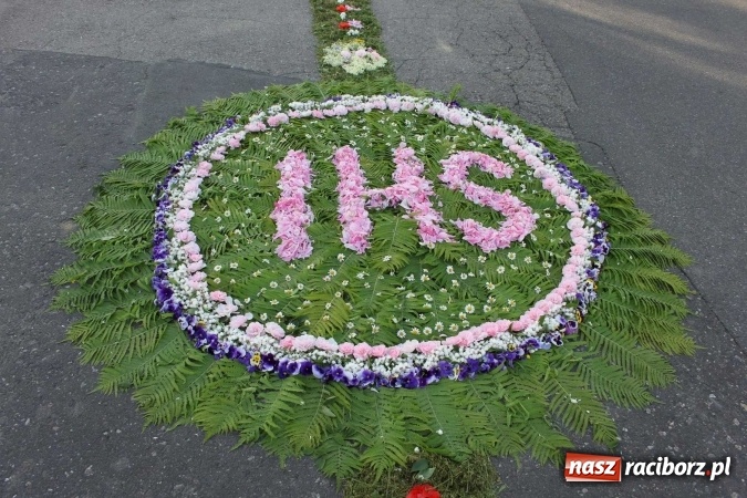 Zdjęcie w galerii na portalu naszraciborz.pl: Kwietne dywany w Wojnowicach  wiadomości z regionu