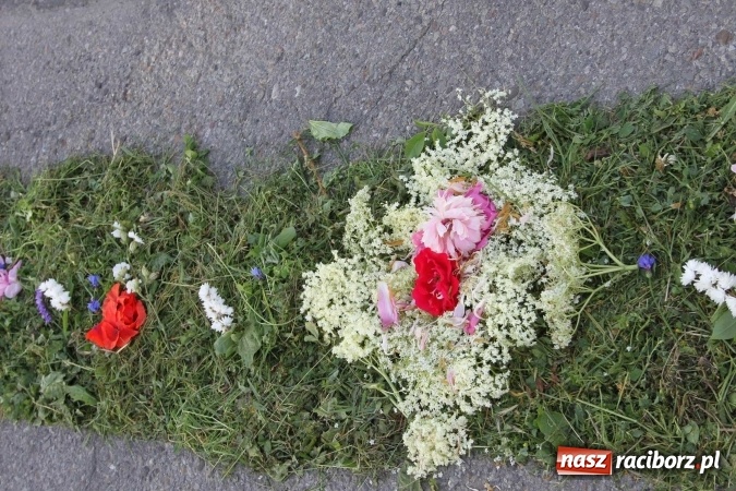 Zdjęcie w galerii na portalu naszraciborz.pl: Kwietne dywany w Wojnowicach  wiadomości z regionu