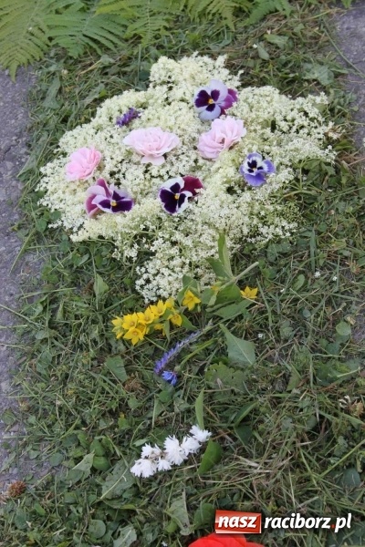 Zdjęcie w galerii na portalu naszraciborz.pl: Kwietne dywany w Wojnowicach  wiadomości z regionu