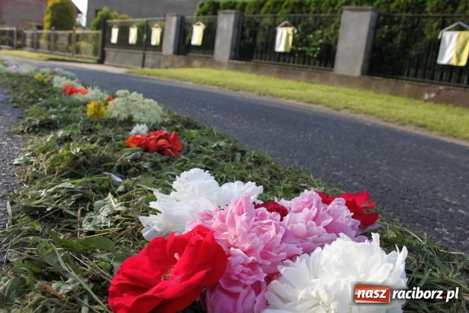 Zdjęcie w galerii na portalu naszraciborz.pl: Kwietne dywany w Wojnowicach  wiadomości z regionu