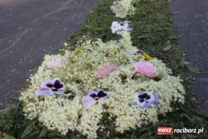 Zdjęcie w galerii na portalu naszraciborz.pl: Kwietne dywany w Wojnowicach  wiadomości z regionu