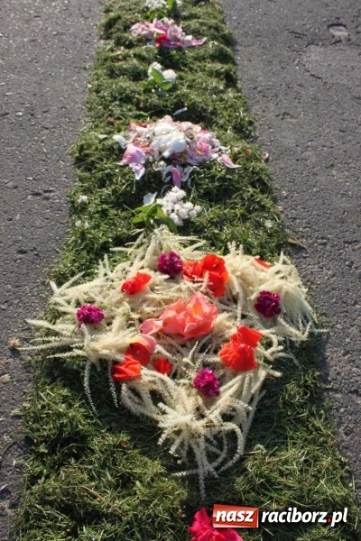 Zdjęcie w galerii na portalu naszraciborz.pl: Kwietne dywany w Wojnowicach  wiadomości z regionu