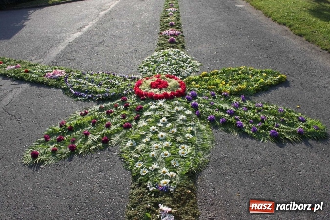 Zdjęcie w galerii na portalu naszraciborz.pl: Kwietne dywany w Wojnowicach  wiadomości z regionu