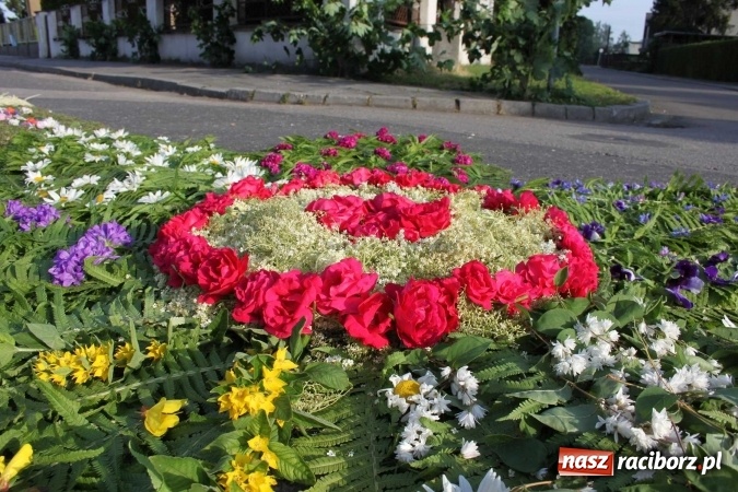 Zdjęcie w galerii na portalu naszraciborz.pl: Kwietne dywany w Wojnowicach  wiadomości z regionu