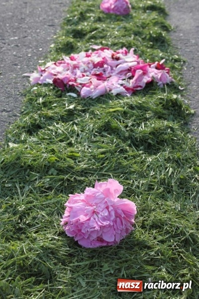 Zdjęcie w galerii na portalu naszraciborz.pl: Kwietne dywany w Wojnowicach  wiadomości z regionu