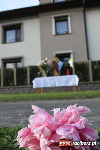 Zdjęcie w galerii na portalu naszraciborz.pl: Kwietne dywany w Wojnowicach  wiadomości z regionu