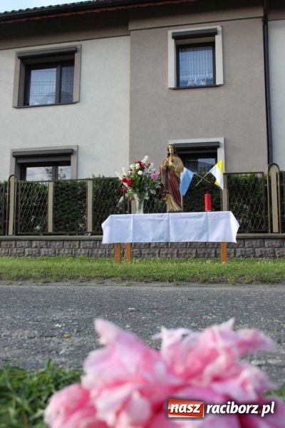 Zdjęcie w galerii na portalu naszraciborz.pl: Kwietne dywany w Wojnowicach  wiadomości z regionu