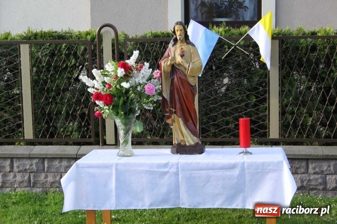 Zdjęcie w galerii na portalu naszraciborz.pl: Kwietne dywany w Wojnowicach  wiadomości z regionu