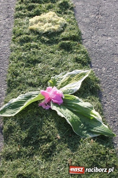 Zdjęcie w galerii na portalu naszraciborz.pl: Kwietne dywany w Wojnowicach  wiadomości z regionu