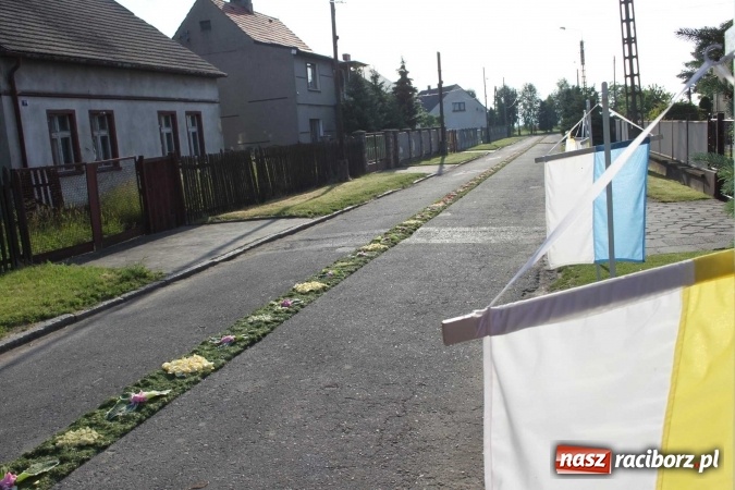 Zdjęcie w galerii na portalu naszraciborz.pl: Kwietne dywany w Wojnowicach  wiadomości z regionu