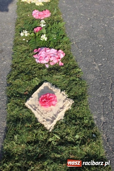 Zdjęcie w galerii na portalu naszraciborz.pl: Kwietne dywany w Wojnowicach  wiadomości z regionu