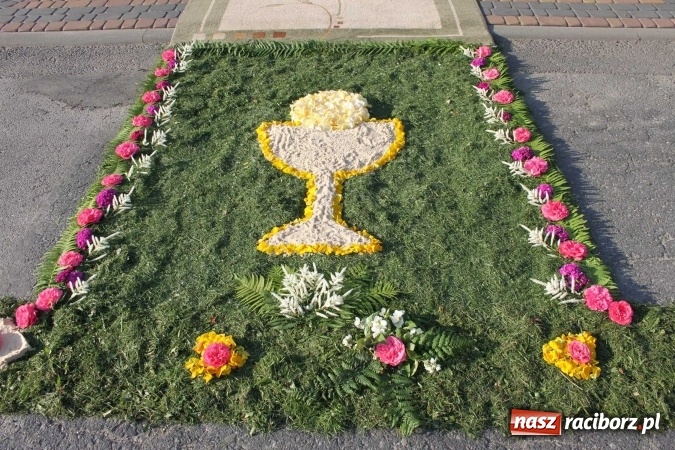 Zdjęcie w galerii na portalu naszraciborz.pl: Kwietne dywany w Wojnowicach  wiadomości z regionu