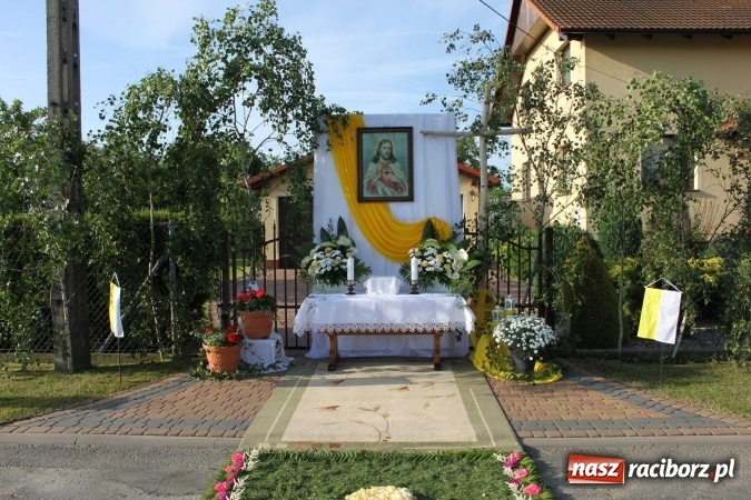 Zdjęcie w galerii na portalu naszraciborz.pl: Kwietne dywany w Wojnowicach  wiadomości z regionu