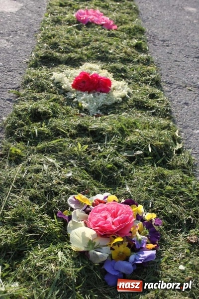 Zdjęcie w galerii na portalu naszraciborz.pl: Kwietne dywany w Wojnowicach  wiadomości z regionu