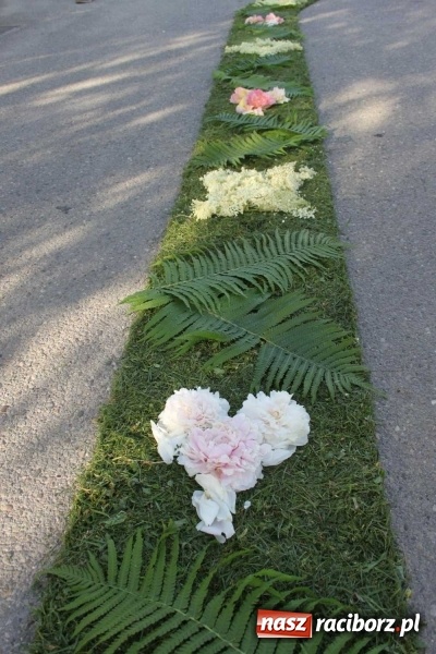 Zdjęcie w galerii na portalu naszraciborz.pl: Kwietne dywany w Wojnowicach  wiadomości z regionu