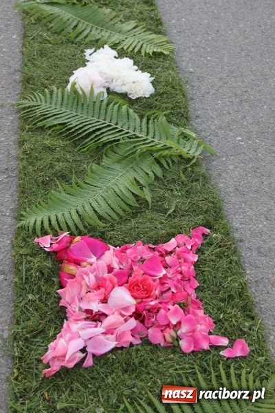 Zdjęcie w galerii na portalu naszraciborz.pl: Kwietne dywany w Wojnowicach  wiadomości z regionu