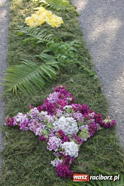 Zdjęcie w galerii na portalu naszraciborz.pl: Kwietne dywany w Wojnowicach  wiadomości z regionu