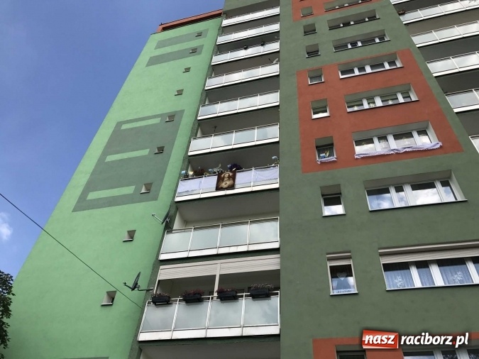 Zdjęcie w galerii na portalu naszraciborz.pl: Boże Ciało na Ostrogu z neoprezbiterem  wiadomości z regionu