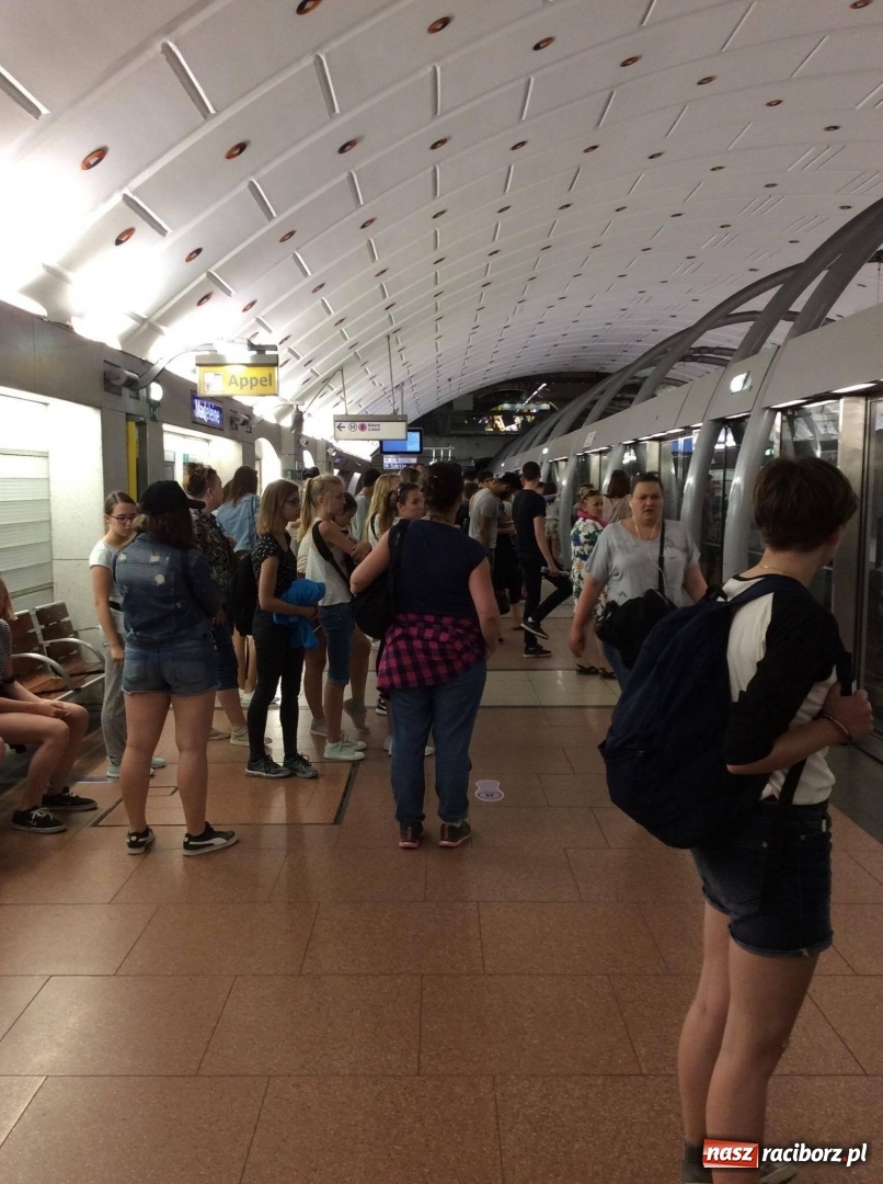 Zdjęcie w galerii na portalu naszraciborz.pl: Uczniowie ZSO nr 1 uczestniczyli w warsztatach językowych w Paryżu wiadomości z regionu