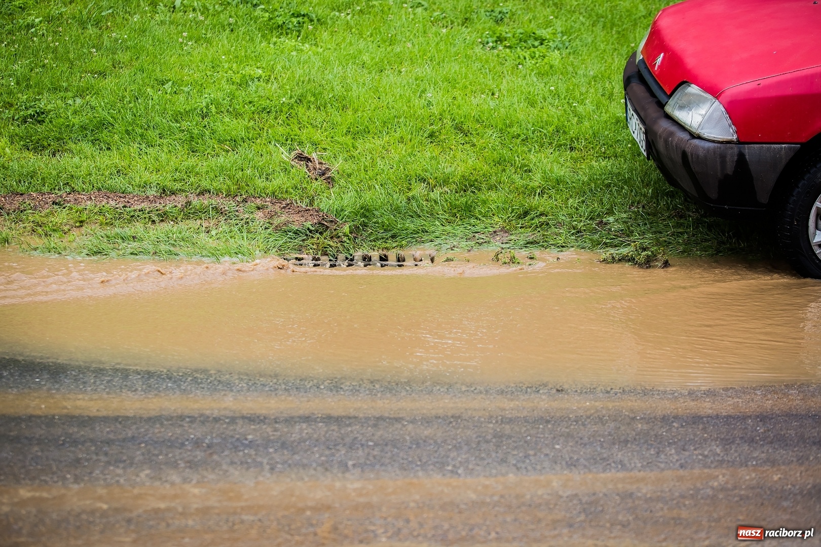 Zdjęcie w galerii na portalu naszraciborz.pl: Intensywne opady deszczu spowodowały podtopienia w gminie Krzanowice wiadomości z regionu