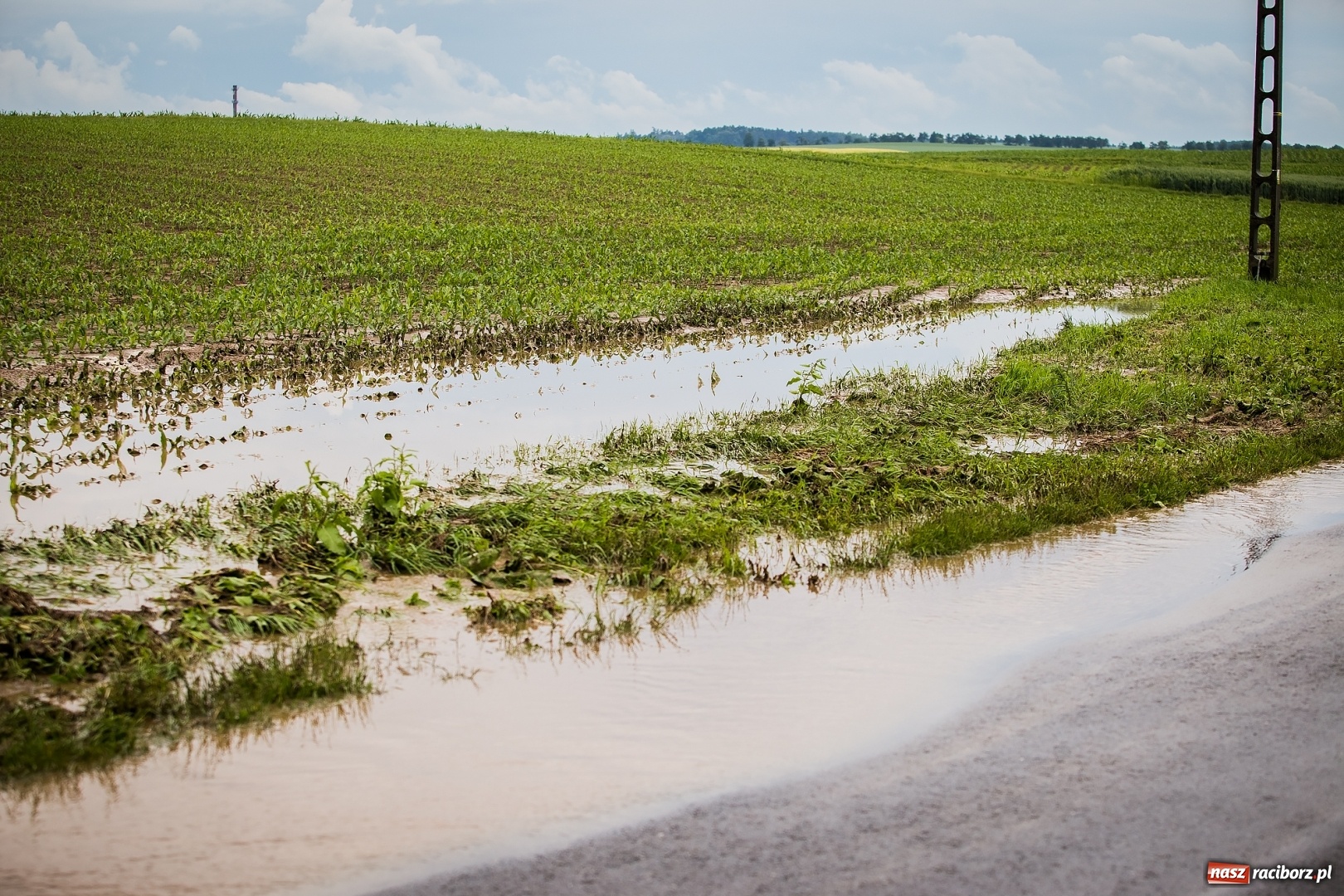 Zdjęcie w galerii na portalu naszraciborz.pl: Intensywne opady deszczu spowodowały podtopienia w gminie Krzanowice wiadomości z regionu